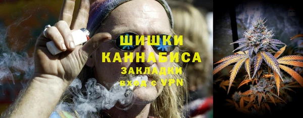 шишки Алзамай