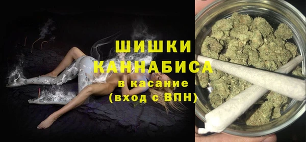 крисы Аркадак
