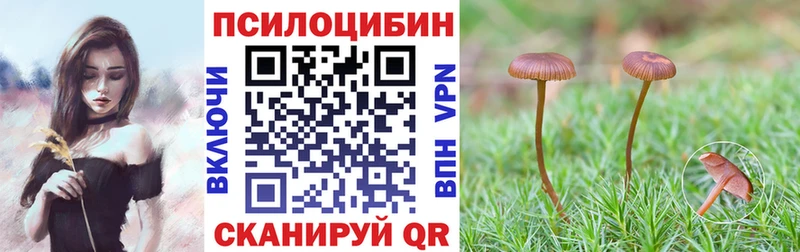 Псилоцибиновые грибы мухоморы  Бологое 