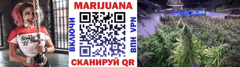 где купить наркоту  Бологое  МАРИХУАНА Amnesia 